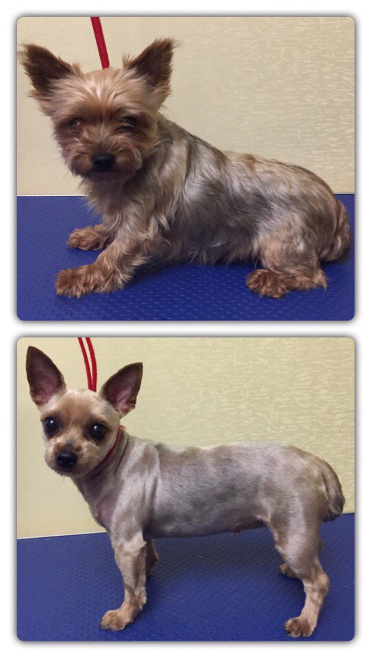 Юлия Данилова | Краснозаводск