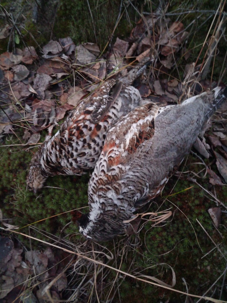 Александр Каратаев Сергеевич | Пыть-Ях