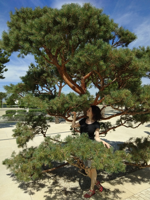 Ирина Лебединская | Ставрополь