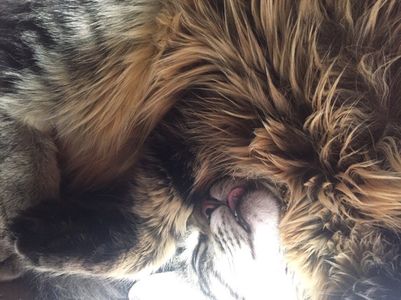 Александра Владимировна | Севастополь