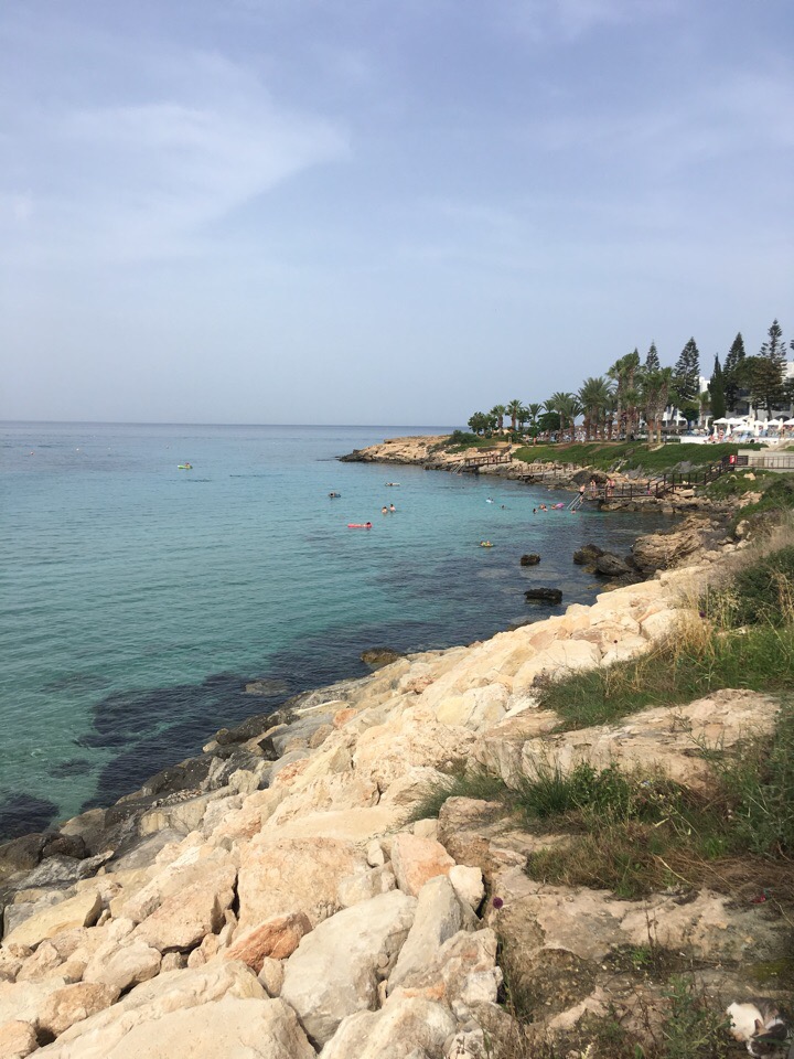 Ольга Анисимова | Москва