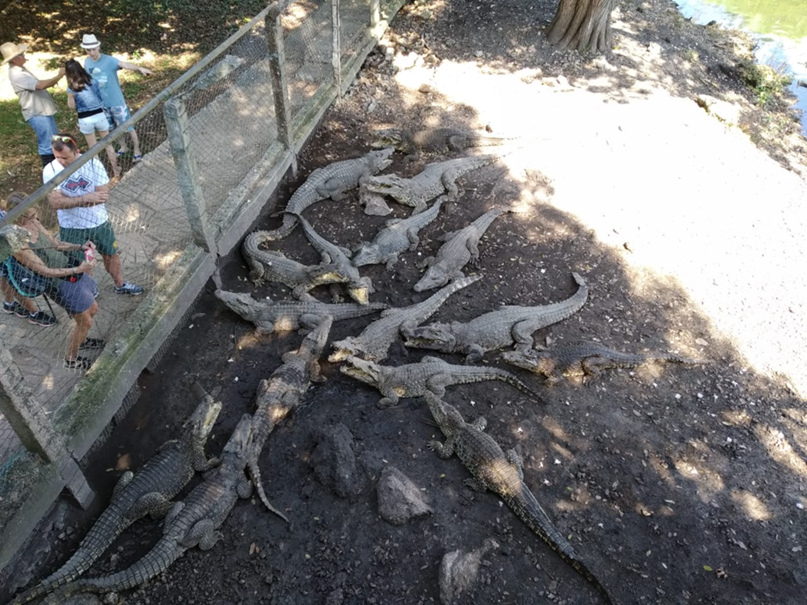 Аня Тихомирова | Дубна