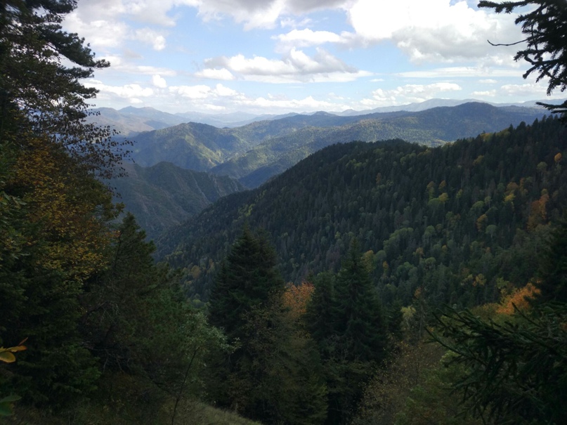 Таня Кунец | Минск