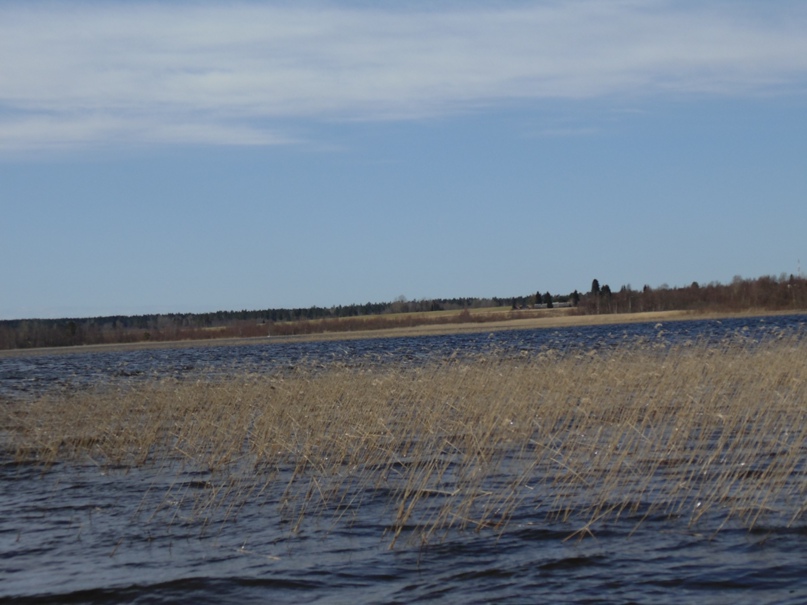 Александр Красильников | Санкт-Петербург