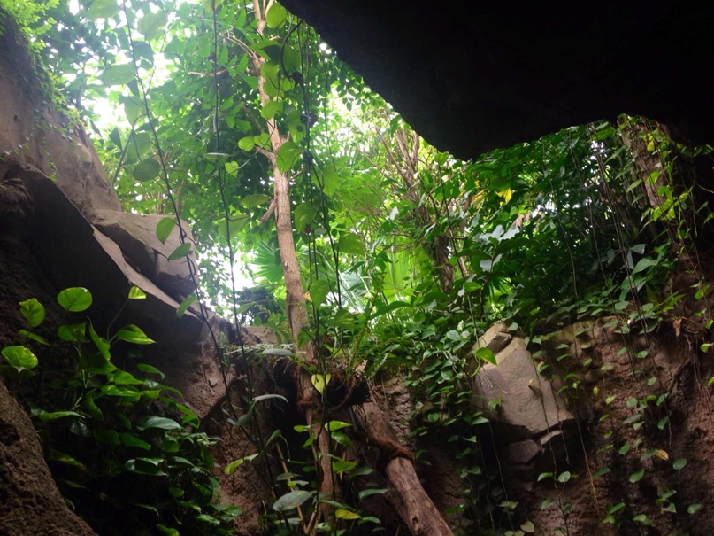 Елена Чёрная | Одесса