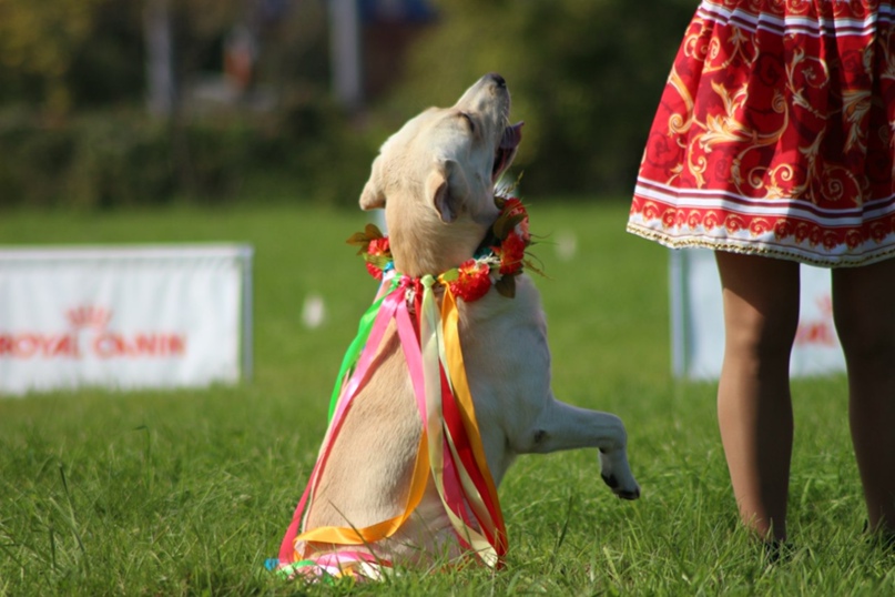 Анна Тимофеева | Санкт-Петербург