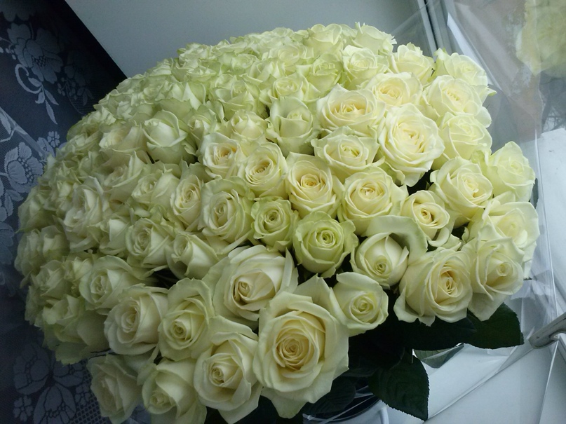 Елена Чугунова | Надым