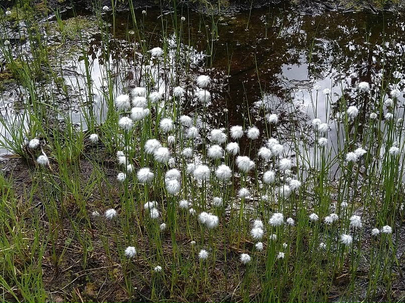 Марина Кондратенко | Усинск