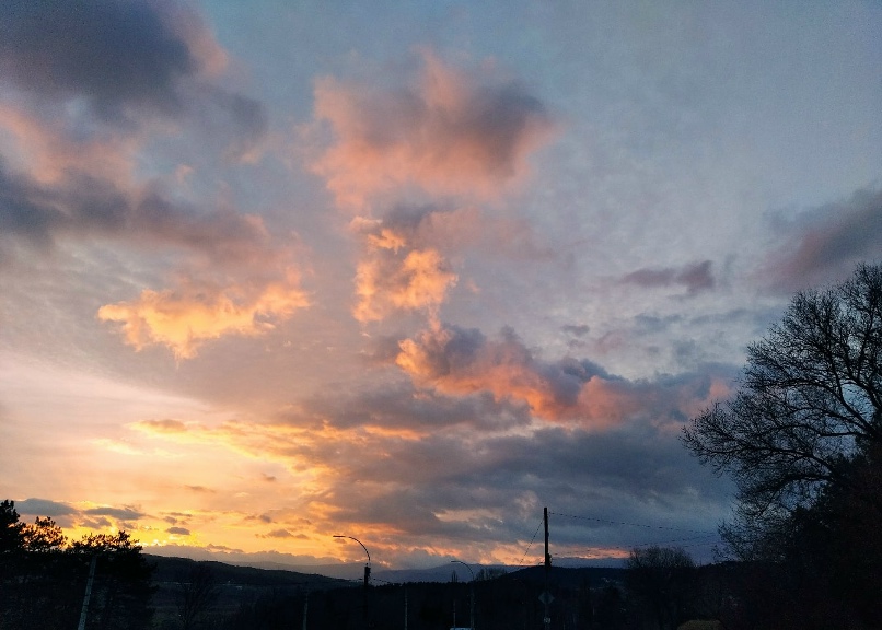 Анастасия Зыбина | Симферополь