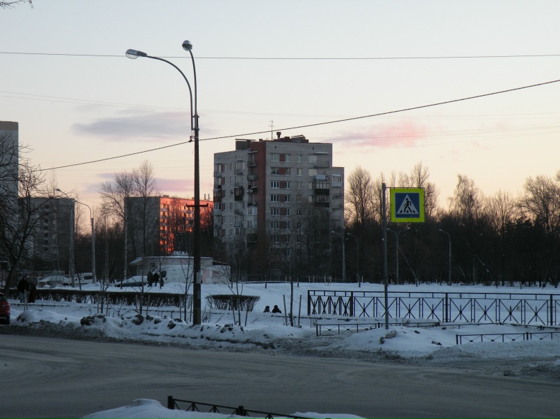 Ольга Борзова | Санкт-Петербург