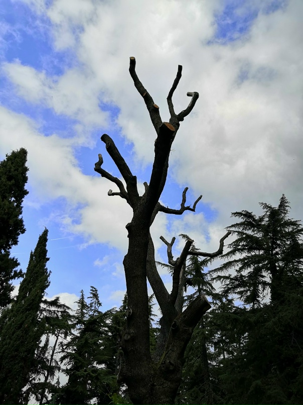 Анюта Богова | Казань