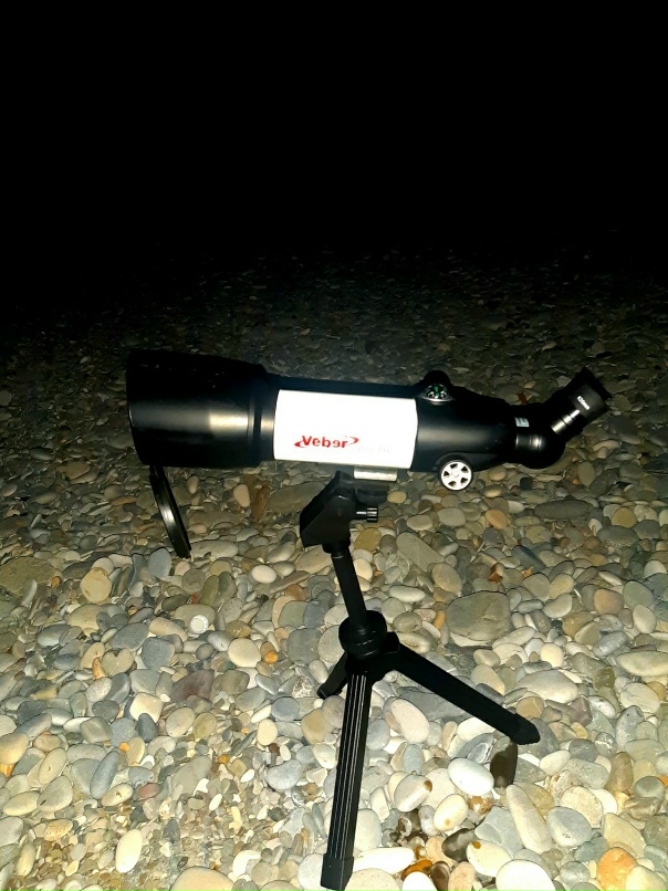 Мария Степанова | Москва