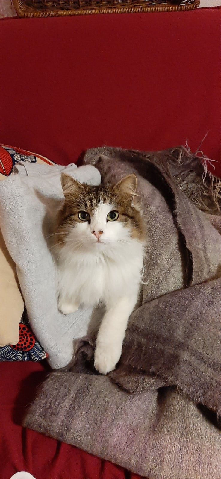 Ирина Пономарева | Москва