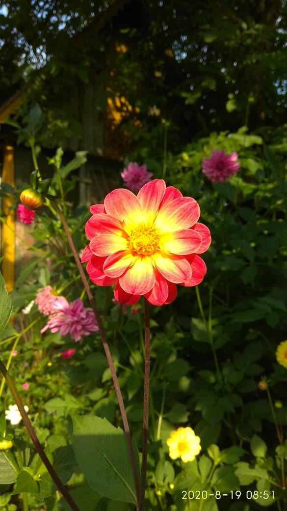 Марина Луценко | Гродно