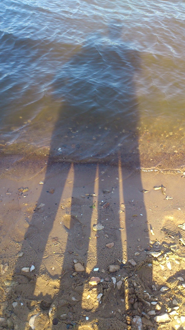 Алексей Вахрамеев | Подольск