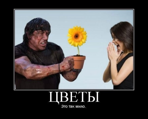 Дмитрий Ишин | Клин