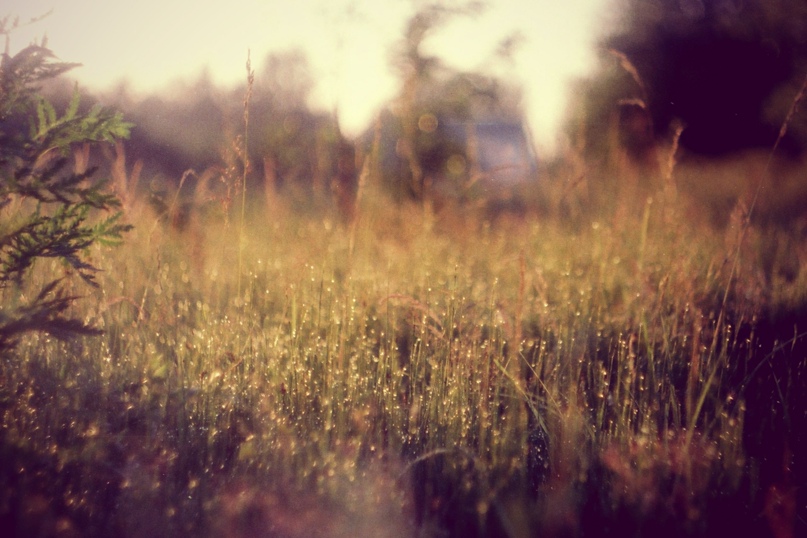 Натали Смирнова |