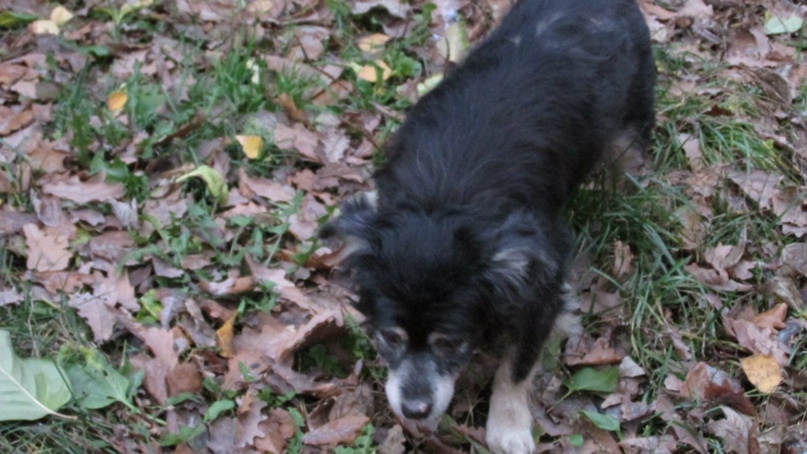 Марина Гладун | Липецк