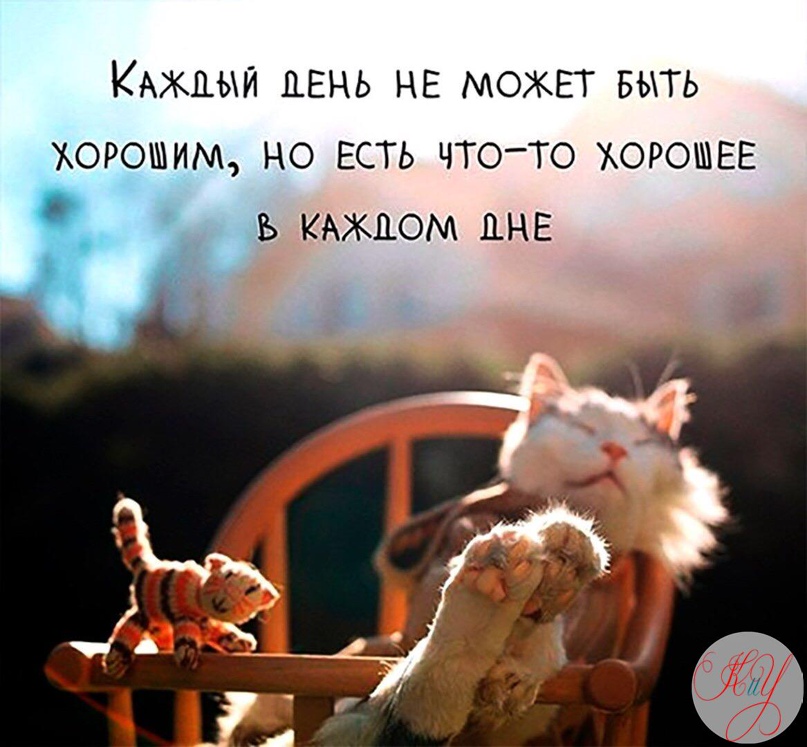 Елена Бурмистрова | Киров