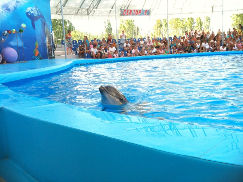Вячеслав Володин | Николаев
