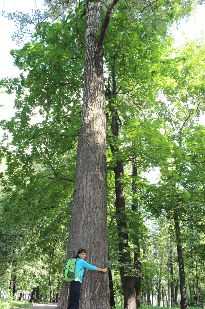 Алексей Пашкевич | Тольятти