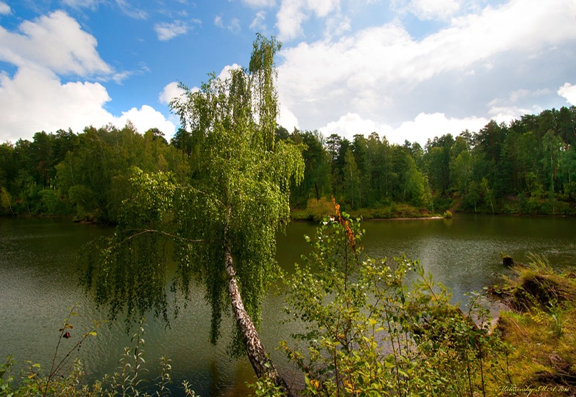 Максим Малиновский | Новосибирск
