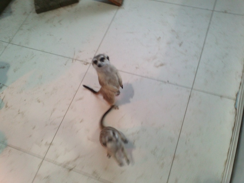 Александр Матвиенко Юрьевич | Новокуйбышевск