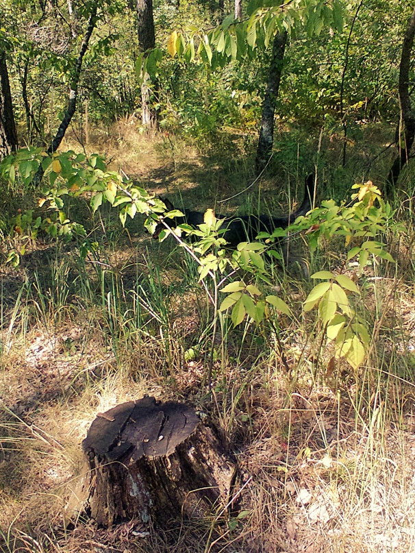 Юлия Федулова | Киев