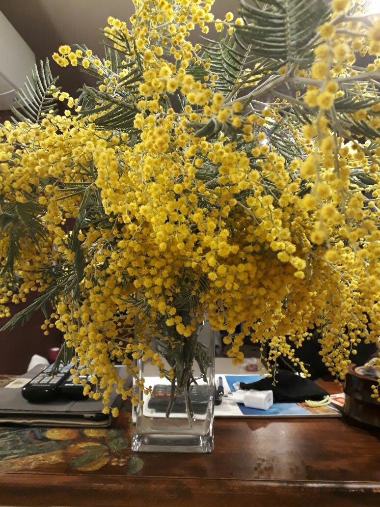 Елена Строкова(Разгуляева) | Санкт-Петербург