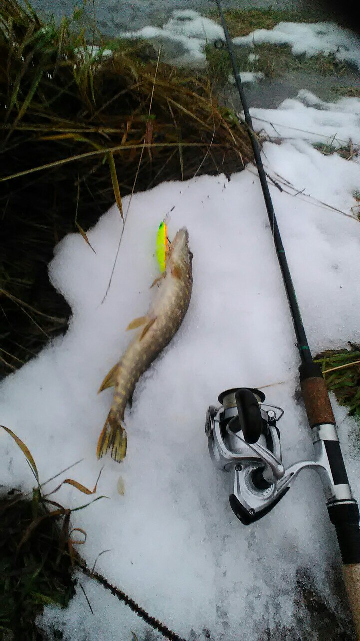 Иван Малахов | Кострома