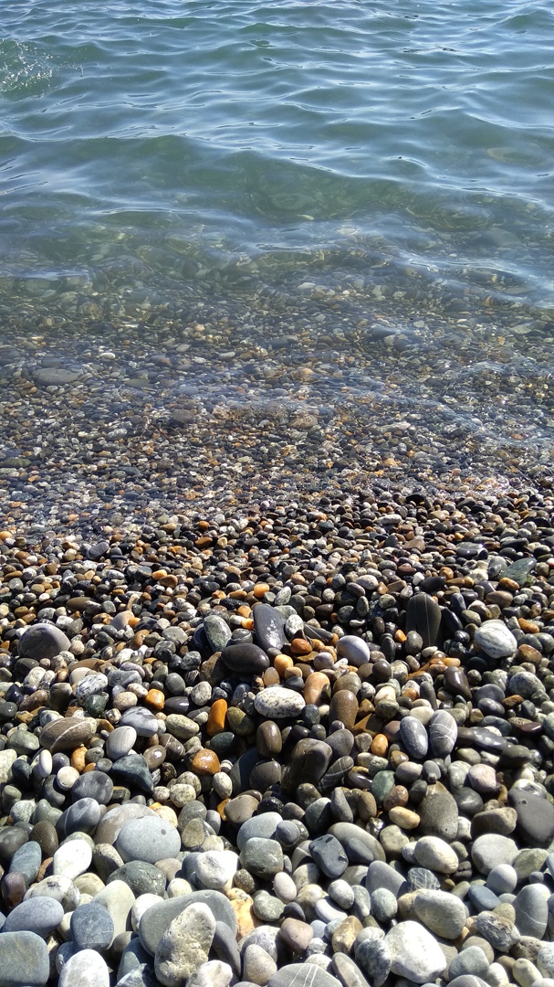 Сергей Шипков Ёж | Омск