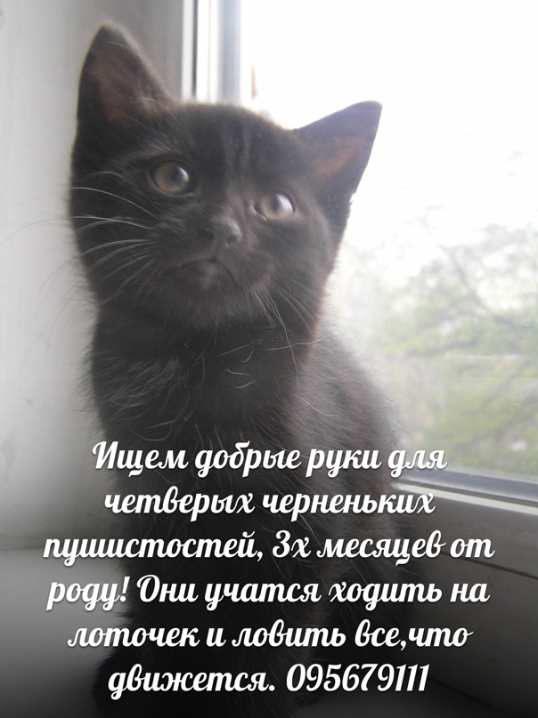 Катерина Медведева | Киев