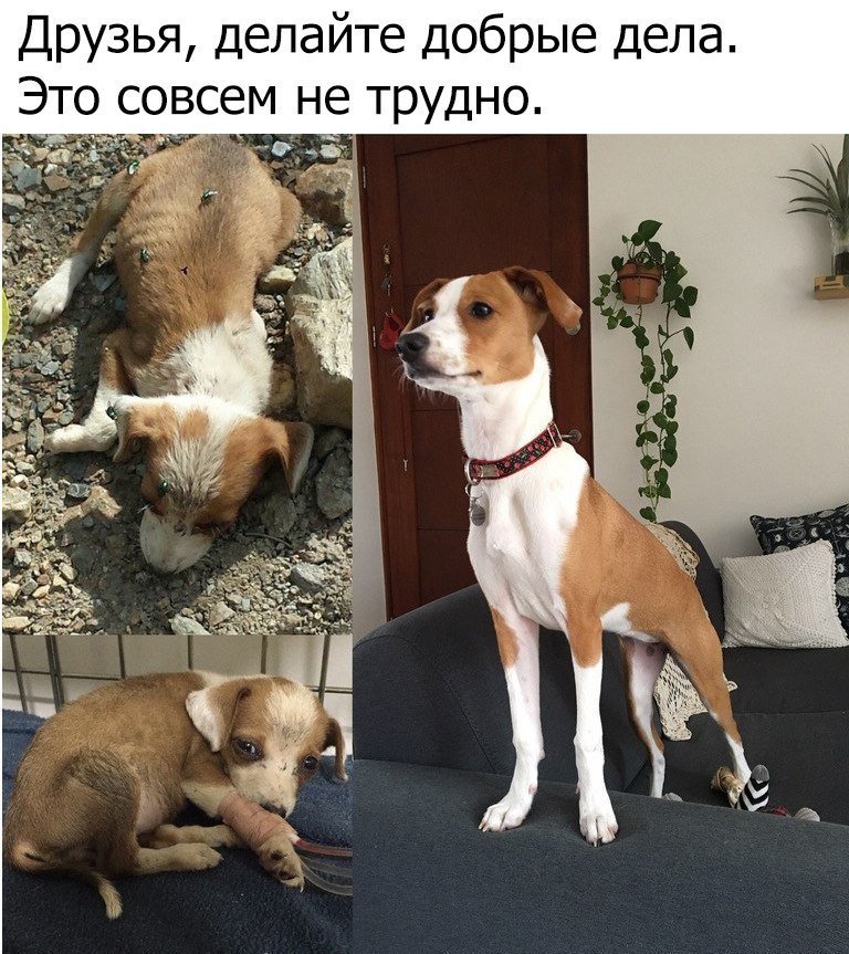 Светлана Варламова ♪_♫ _♥ _♪_♫ | Москва