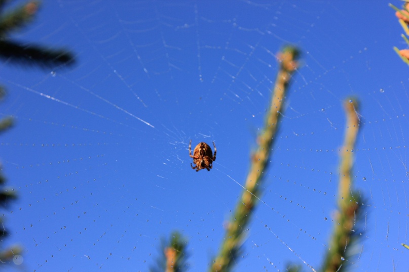 Оксана Симонова | Пермь