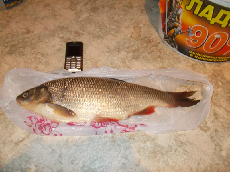 Сергей Гагарин | Новокузнецк