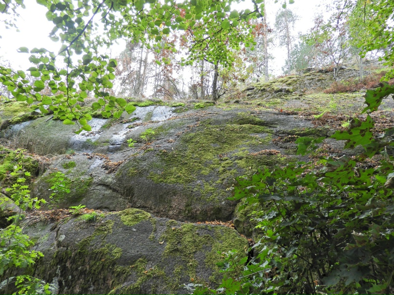 Анатолий Смирнов | Санкт-Петербург