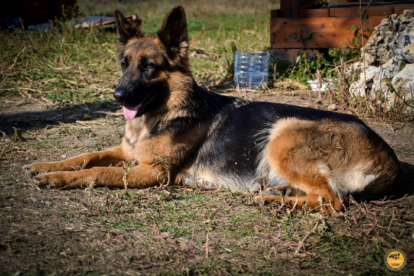 Ольга Зорина | Судак