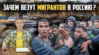 Мигрантами-преступниками заменяют нас в России | Новости России