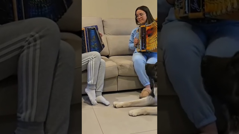 Estas duas e magníficas manas têm talento para dar e vender. ,musica, music, folclore,