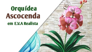 500/501 - Orquidea Vanda Ascocenda