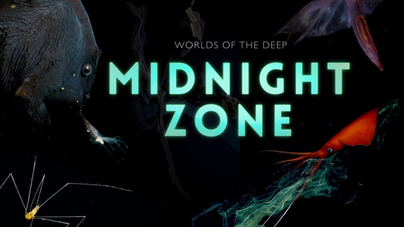 Into the Midnight Zone: Secrets of the Ocean
