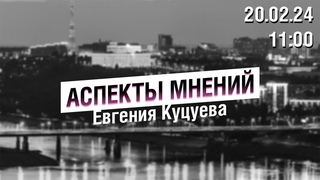 «Аспекты мнений» / Евгения Куцуева //