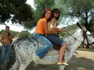 Arre Borriquito de  Santibaez