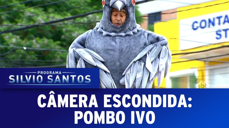 Câmera Escondida (25, 09, 16) Pombo