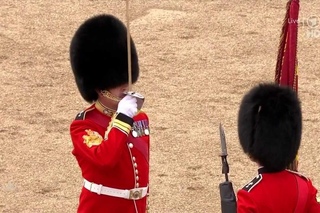 Trooping the Colour 2013