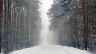 Snowfall and blizzard sounds for deeper concentration. 12 hours of winter forest.